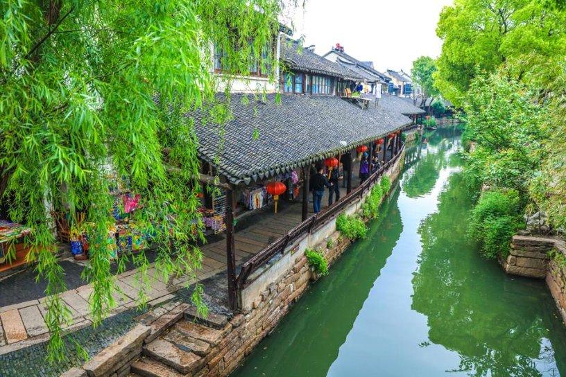 植物大战僵尸7